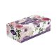 Active Facial Tissue 150 × 2ply tissues 48 packs - Spring Wonder Series